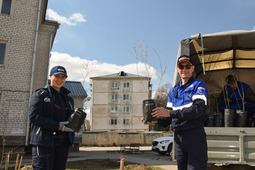 As a result, the Amur GPP volunteers have supported the school botanical project on urban landscaping.