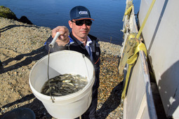 The Amur GPP environmental engineers held an event related to reclamation of water fauna in the area of the project.