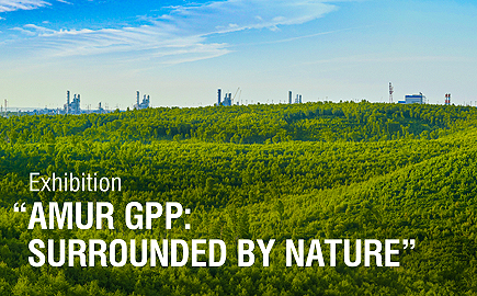 The “Amur GPP: Surrounded By Nature”