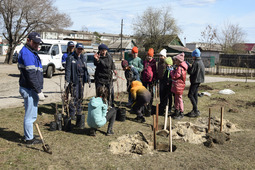 Today the school oasis has been replenished with new specimens of Amur flora with support of the Amur GPP volunteers.