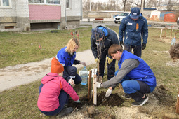 Together with the students, the gas workers planted the seedlings in the garden is a small plot located in Novy Byt street where extracurricular activities with advanced curriculum in biology for the students of grades 4-8 are held.