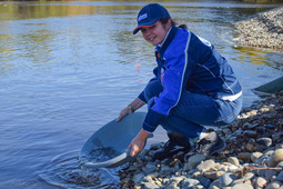 In general, over 60 thousands of juvenile fishes were released into such rivers as Zeya, Bolshaya Pyora and Rakushka for the last six years.