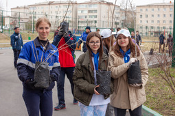 As is customary, Gazprom Pererabotka Blagoveshchensk employees together with the students of school 1 took part in the arrangement of the Memory Alley.
