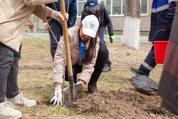 Planting in the city is a part of the volunteer environmental project EkoSvoboda which was initiated by the community council for Amur GPP in 2017 together with Gazprom Pererabotka Blagoveshchensk (investor, owner and operator of the Amur GPP).