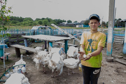 Kukushkiny family raise turkeys.