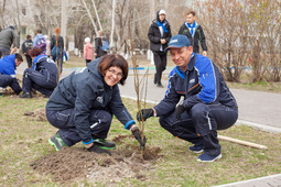 About 400 trees and shrubs have been planted near school 1 in Svobodny.