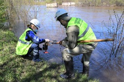 Bottom Sediments Sampling.